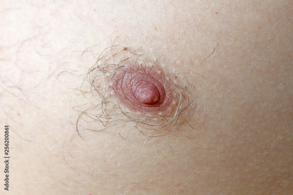 women hairy nipples Male hairy nipple. Nipple with hair. Easy erotica and humor. Without  epilation の Stock フォト | Adobe Stock