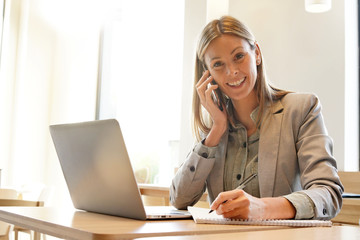 Wall Mural - Saleswoman preparing sales pitch on work trip