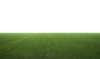 night lighting beautiful wide green grass field . include clipping path .