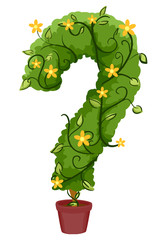 Poster - Question Mark Vines Pot Illustration