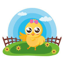 Cute Chick In The Meadow