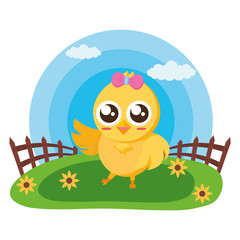 Canvas Print - cute chick in the meadow