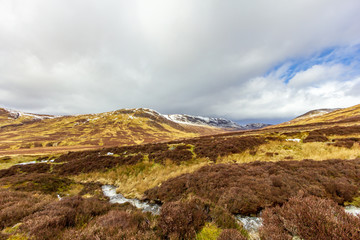 A mountain stream in a grassy valley under a majestic blue sky and white clouds