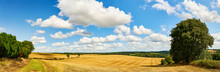 Idyllic Landscape With Field And Sky In Summer
