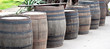wine barrels in a row
