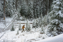 Man Hiking In Snowy Forest