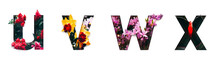 Flower Font Letter U, V, W, X Create With Real Alive Flowers And Precious Paper Cut Shape Of Alphabet. Collection Of Brilliant Bloom Flora Font For Your Unique Text, Typography With Many Concept Ideas