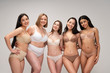 © LIGHTFIELD STUDIOS - five attractive multicultural women in lingerie hugging while posing at camera isolated on grey, body positivity concept