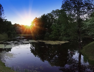 Wall Mural - wood is reflected in the lake in the evening at sunset