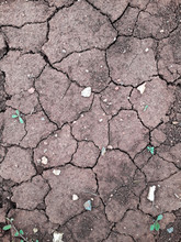 Dry Cracked Earth Ground Soil Pattern Elephant Skin Background