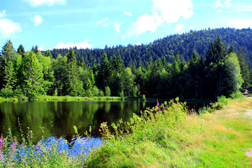 Wall Mural - le lac du lispach dans les vosges