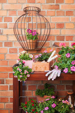 Various Potted Spring And Summer Flowers, Gardening Tools And Gloves