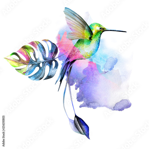 Cuadros en Lienzo Hummingbird bird surrounded by tropical leaves