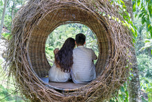 Asian Woman And Man Enjoying His Time Sitting On A Bird Nest In The Tropical Jungle Near The Rice Terraces In Island Bali, Indonesia