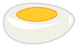 Hard boiled egg with yolk vector or color illustration