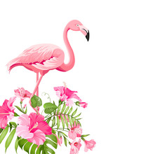 Beautiful Tropical Image With Pink Flamingo And Plumeria Flowers On A White Backdrop. Exotic Tropical Palm Tree. Flamingo Background And Jungle Leaf. The Natural Background.