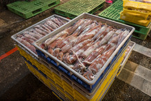 Raw Baby Squid In Crates, Fresh Shipment At Keelung Night Market, Taiwan