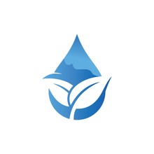 Leaf Logo Vector