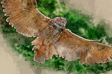 Wall Mural - Watercolour painting of Stunning European eagle owl in flight