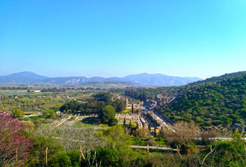 Wall Mural - Wide view of Ephesus ancient city in Izmir