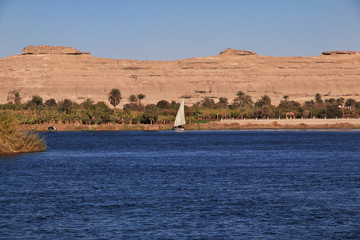 Wall Mural - El Minya, Nile, Egypt, Africa