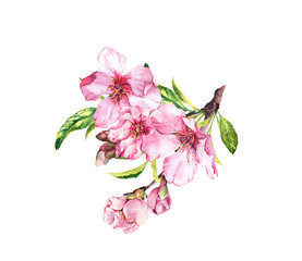 Wall Mural - Pink spring flowers. Cherry blossom, almond, apple, sakura. Watercolor