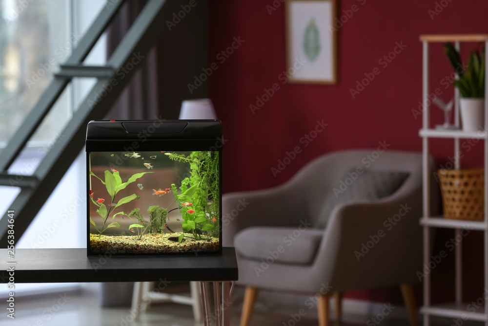 Beautiful aquarium on table in room