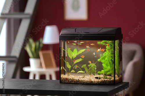 Cuadros en Lienzo Beautiful aquarium on table in room