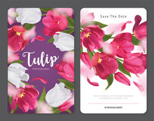 Blooming Beautiful Pink With White Tulip Flowers Background Template. Vector Set Of Blooming Floral For Wedding Invitations, Greeting Card, Voucher, Brochures And Banners Design.