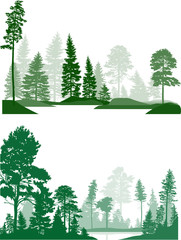 Wall Mural - green pines trees in two forest landscapes on white