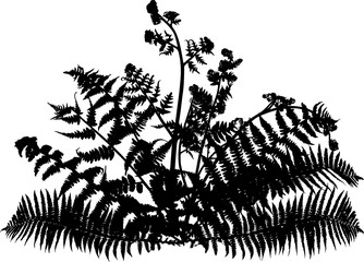 Poster - fern bush silhouette on white