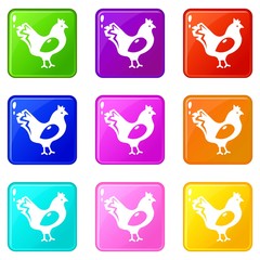 Poster - Chicken icons set 9 color collection isolated on white for any design