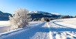 path through winter wonderland, winter sports cross country ski