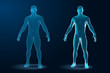Temlate set of Human Body 3D Polygonal Wireframe Blueprint. Vector Illustration