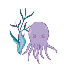 Poster - cute octopuses with seaweed