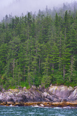 Ocean, trees and pine trees over mountains on the Seward shore in the Gulf of Alaska. Landscape, seascape, portrait, fine art. Alaska: July 28, 2018