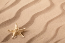 Starfish Or Seastar On The Seashore Of A Rippled Summer Sandy Beach