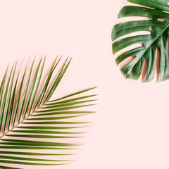 Tropical palm leaves on pink background. Flat lay, top view minimal concept.