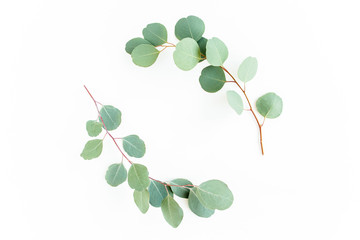 Wall Mural - Wreath frame made of branches eucalyptus and leaves isolated on white background. lay flat, top view