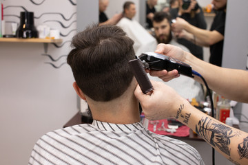 Young Man in Barbershop Hair Care Service Concept 