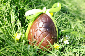 green grass and chocolate egg- easter