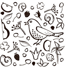 Set Black Outline Bird And Berry On White Background
