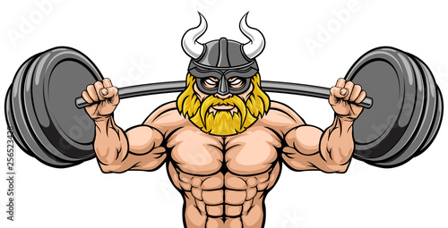 A Viking gladiator warrior ...