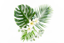 Pattern Of Tropical Green Leaves Monstera On White Background. Flat Lay, Top View