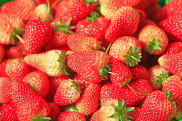 Wall Mural - Fresh strawberries, close-up shots