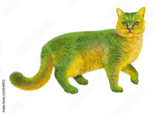 Chat Colore Chaton Animal Joli Isole Animal De Compagnie Blanc Felin Domestique Fourrure Jeune Britannique Bebe Petit Adorable Chat Animal De Compagnie Beau Animal Mammifere Vert Stock Illustration Adobe Stock Chat Colore Chaton Animal Joli Isole Animal De Compagnie Blanc Felin Domestique Fourrure Jeune Britannique Bebe Petit Adorable Chat Animal De Compagnie Beau Animal Mammifere Vert Stock Illustration Adobe Stock