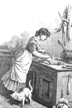 Cook The Chickens With The Waiting Cat - Vintage Engraved Illustration, 1894