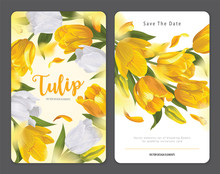 Blooming Beautiful Yellow With White Tulip Flowers Background Template. Vector Set Of Blooming Floral For Wedding Invitations, Greeting Card, Voucher, Brochures And Banners Design.
