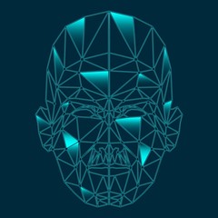 Wall Mural - human face low polygon. wireframe mash head shape consisting of connected dots and lines. abstract h