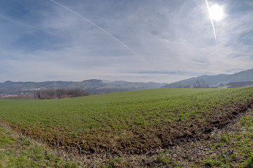 Wall Mural - Wilhering in Oberösterreich in den Morgenstunden